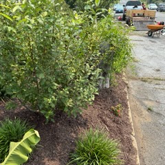 JC Landscaping work 18