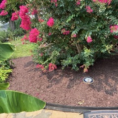 JC Landscaping work 16