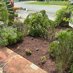 JC Landscaping work 14