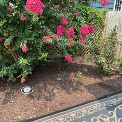 JC Landscaping work 15