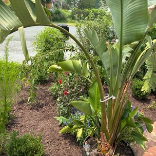JC Landscaping work 13